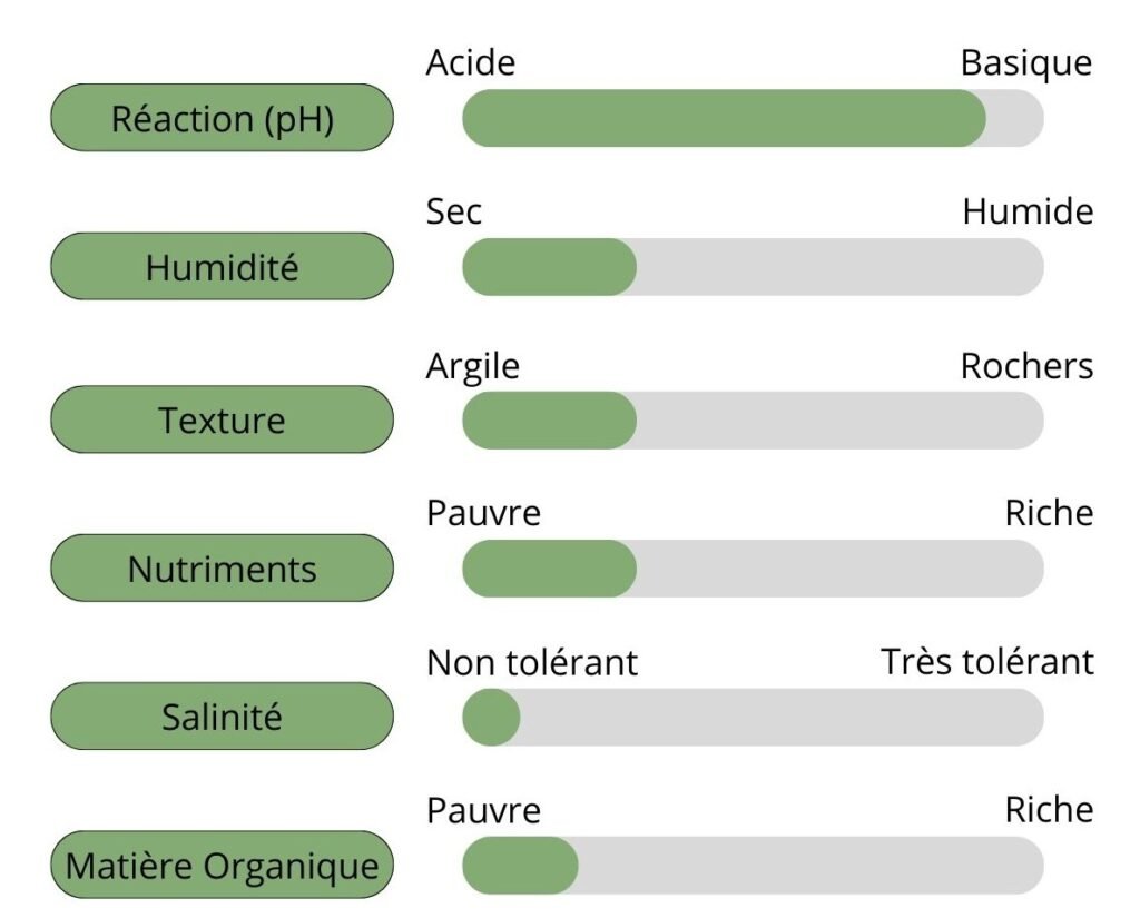 Caractéristiques du sol
