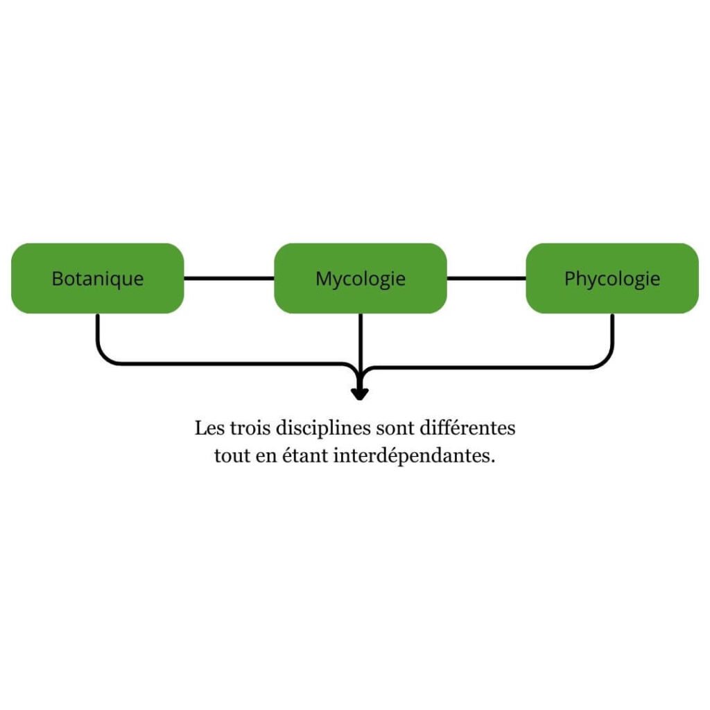 Les trois disciplines