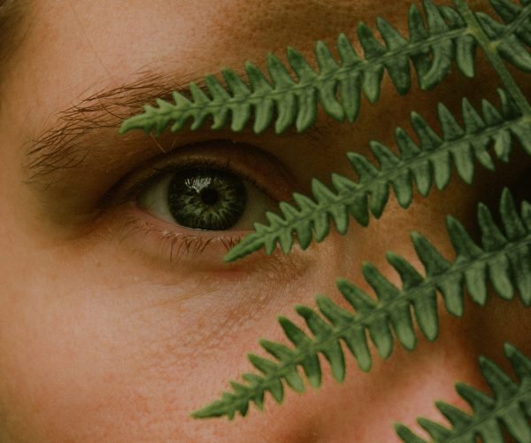 Oeil Oeil
